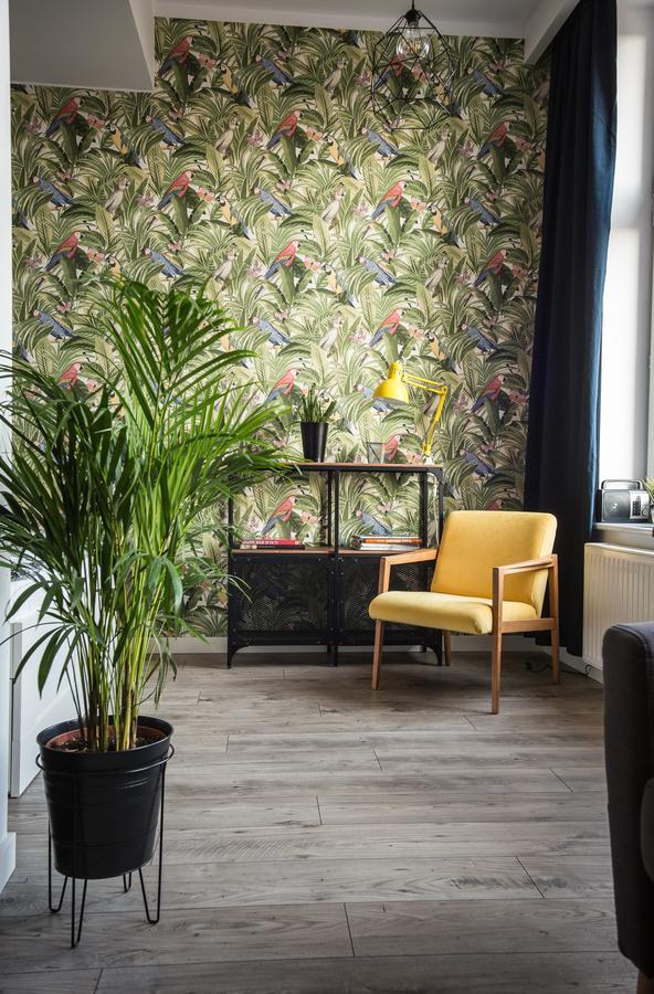 Boho Apartments ทอรูน ภายนอก รูปภาพ